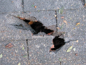 Close-up of roof damage indicating a leak, inspected by Hendersonville's top roofing experts