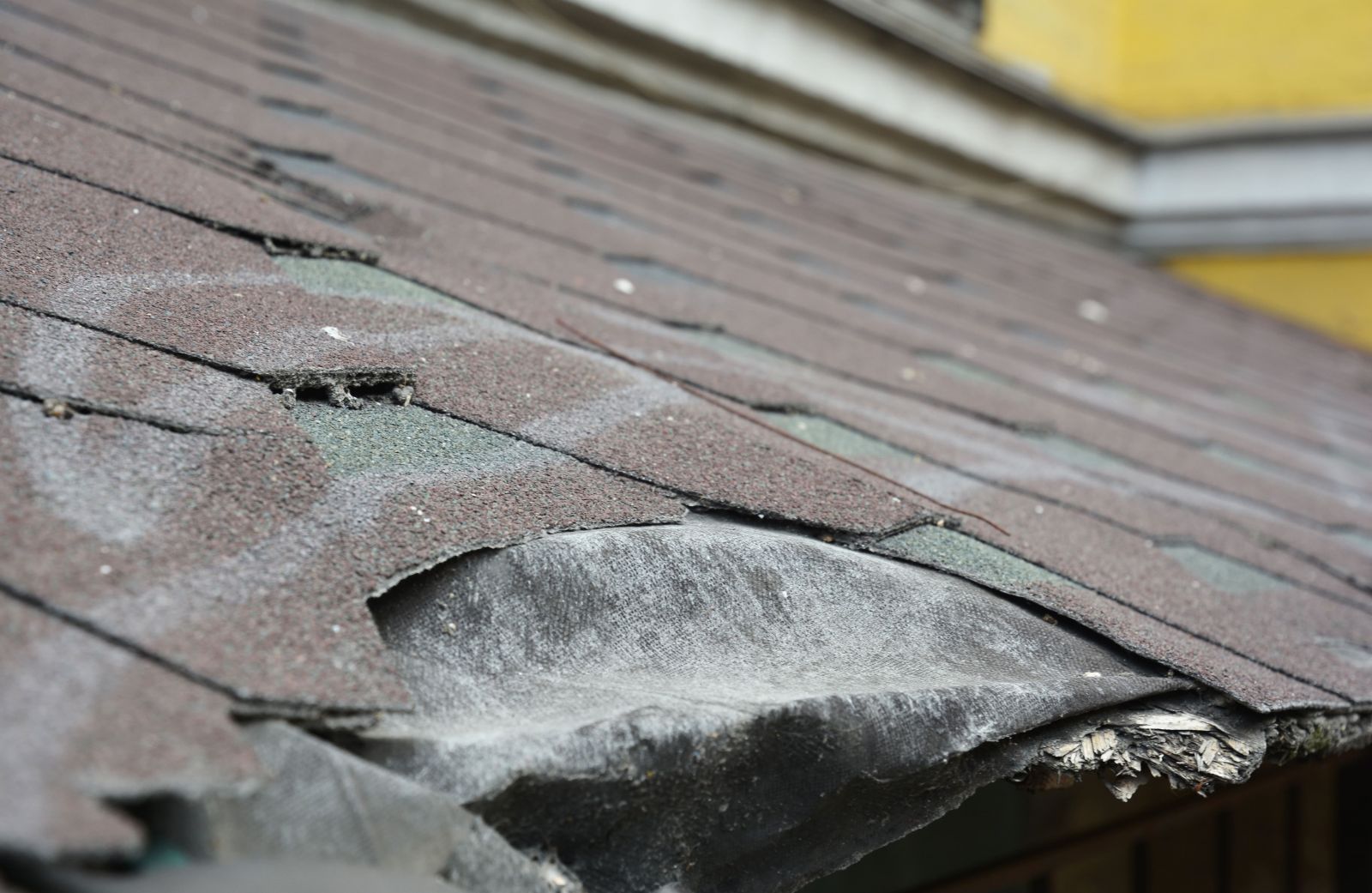 UrCovered Construction Images