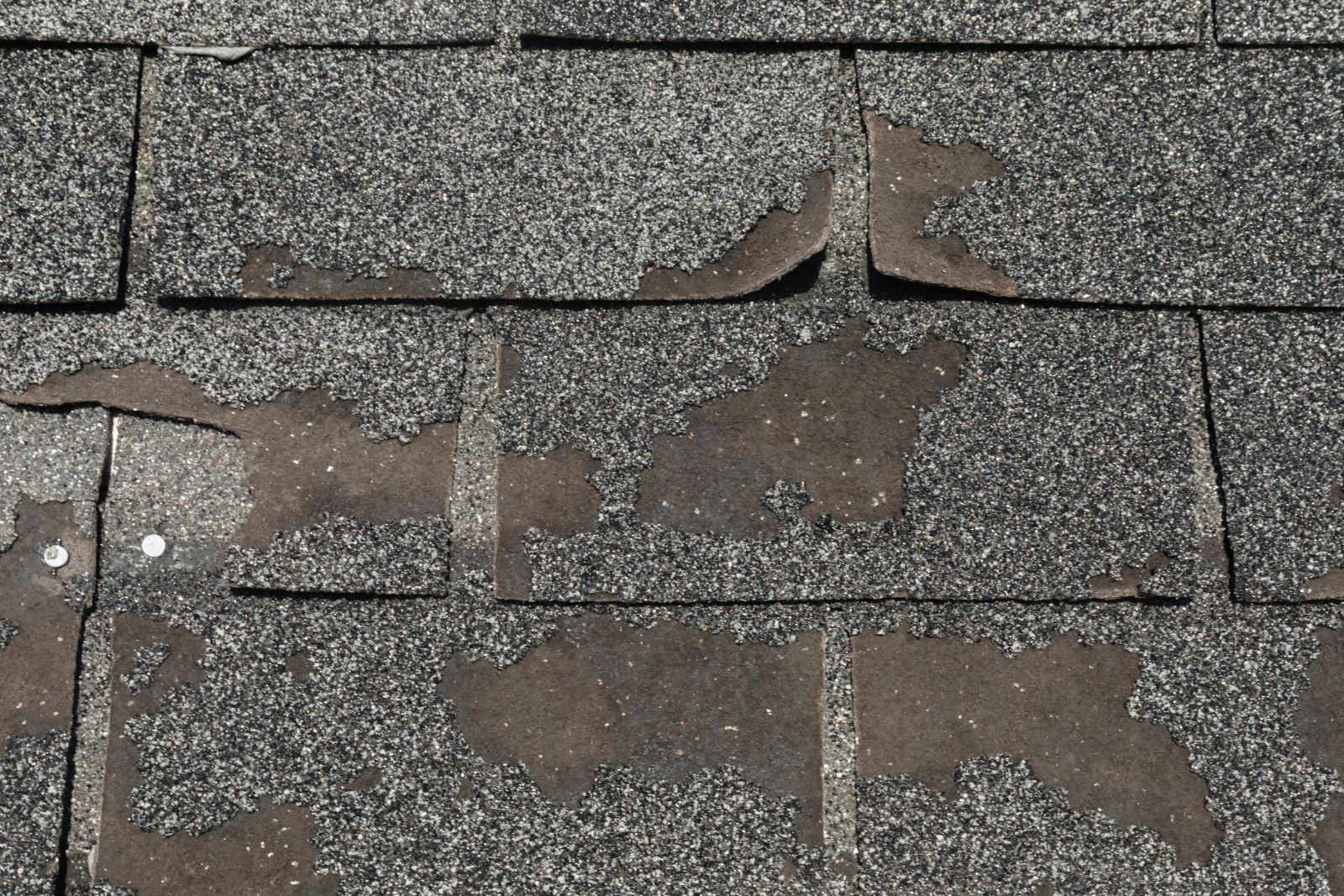 UrCovered Construction Images